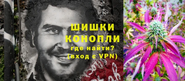 шишки Арсеньев