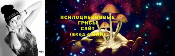 молекула духа Армянск