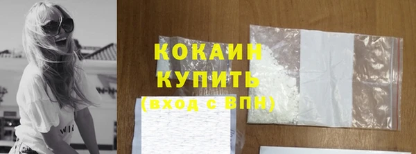 шишки Арсеньев