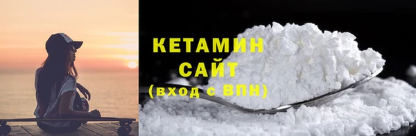 шишки Арсеньев