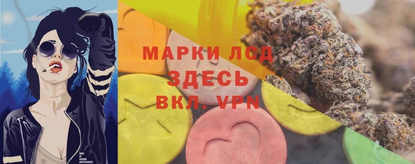 шишки Арсеньев