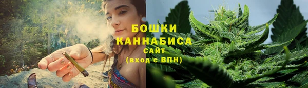 шишки Арсеньев