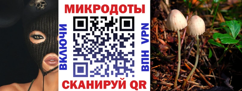 Галлюциногенные грибы прущие грибы  дарнет шоп  Ржев 